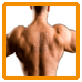 Upper Back Exercises